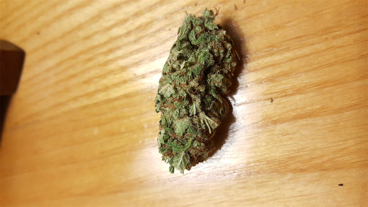 Cherry Bomb marijuana strain flower with tree fruit and chestnut flavor and focused / energetic effects - Rare Harvest hybrid