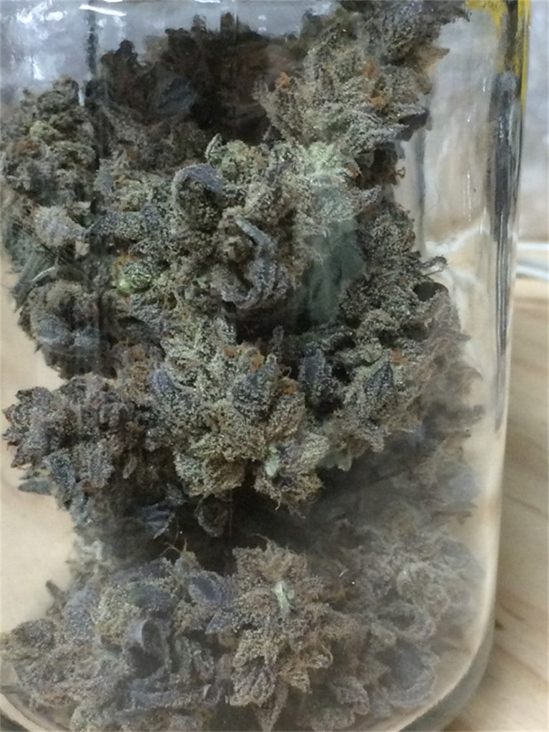Cherry Durban Poison marijuana strain flower with berry and flowery flavor and energetic / creative effects - Rare Harvest hybrid