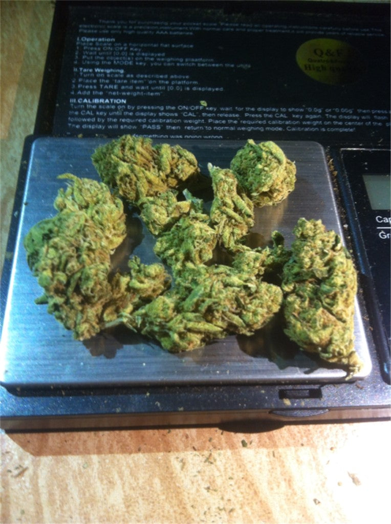 Cherry Grapefruit marijuana strain flower with grapefruit and apricot flavor and creative / focused effects - Rare Harvest hybrid