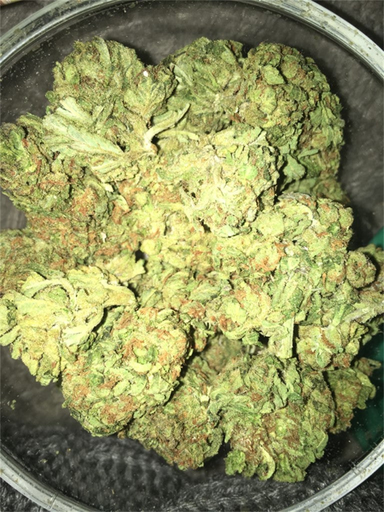 Cherry Limeade marijuana strain flower with lime and berry flavor and focused / tingly effects - Rare Harvest hybrid