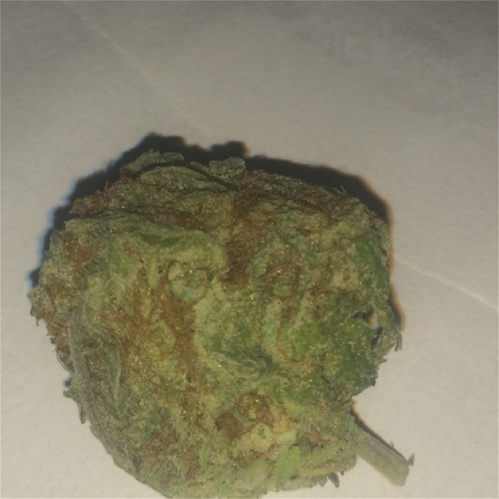Cherry Sherbet marijuana strain flower with flowery and violet flavor and aroused / tingly effects - Rare Harvest hybrid