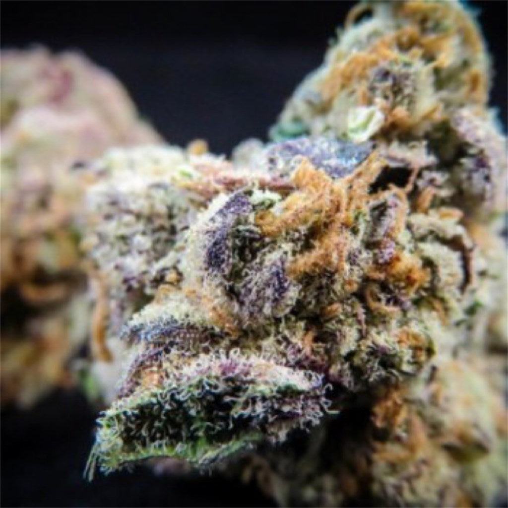 Cherry Thunder Fuck marijuana strain flower with berry and pungent flavor and euphoric / uplifted effects - Rare Harvest hybrid