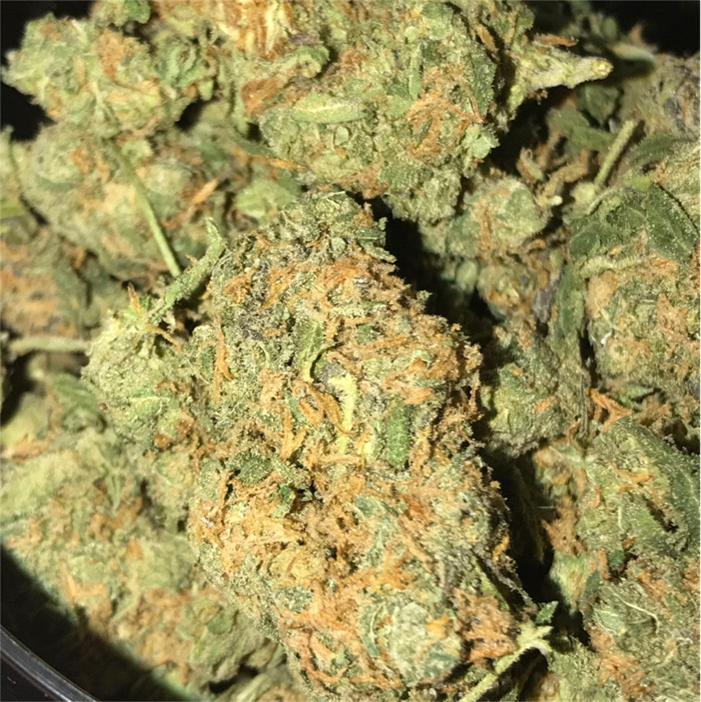 CherWillie marijuana strain flower with citrus and sweet flavor and energetic / creative effects - Rare Harvest hybrid
