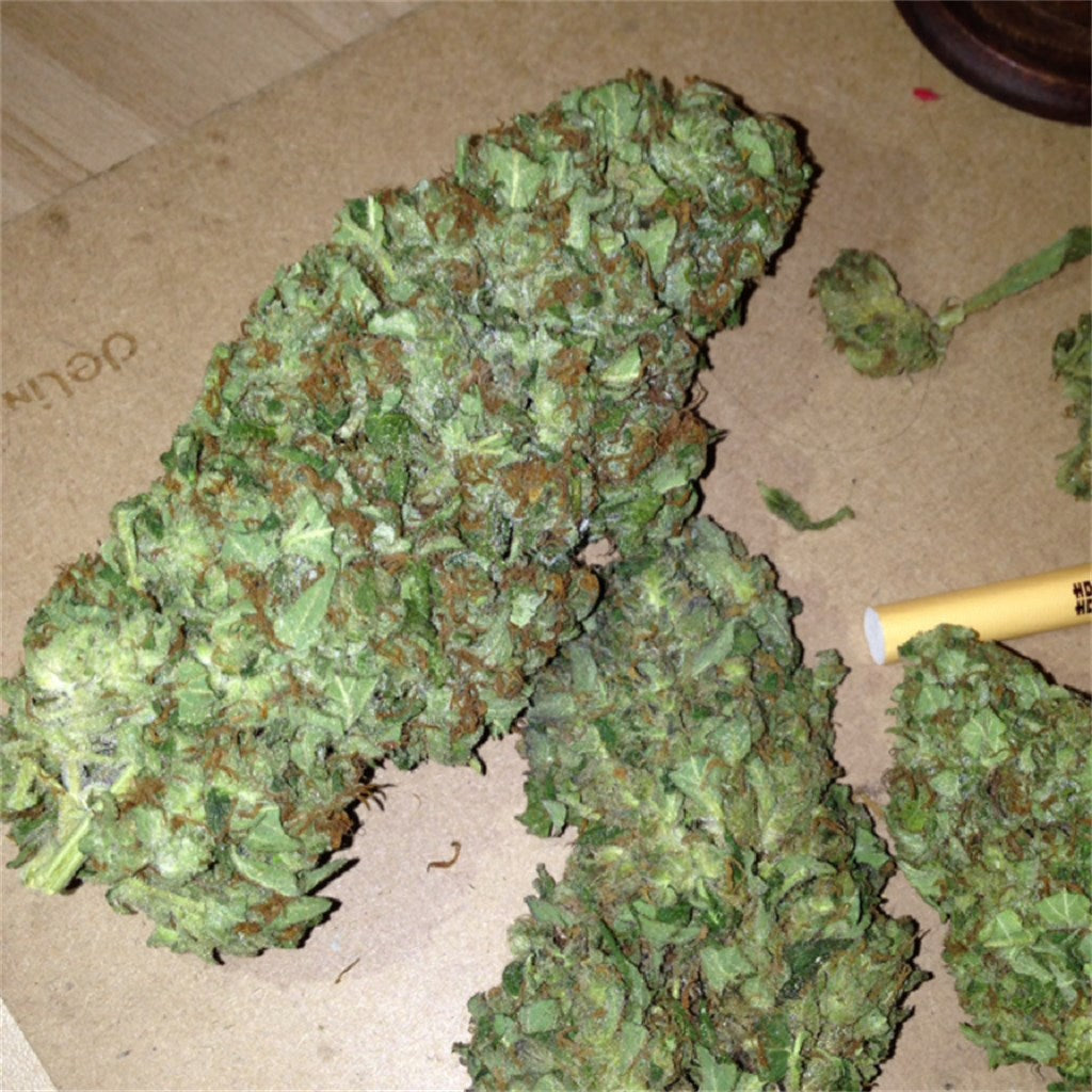China Yunnan marijuana strain flower with cheese and sweet flavor and uplifted / energetic effects - Rare Harvest indica
