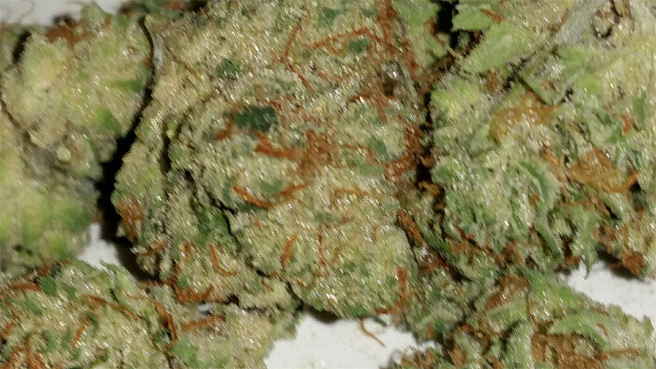 Chloe marijuana strain flower with earthy and sweet flavor and energetic / uplifted effects - Rare Harvest hybrid