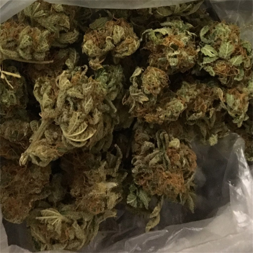 Chocolate Fondue marijuana strain flower with coffee and cheese flavor and energetic / focused effects - Rare Harvest sativa