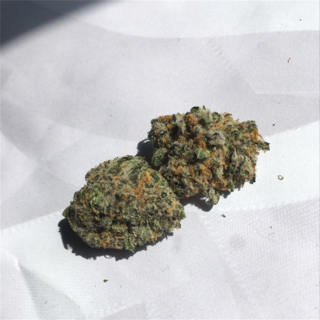Chocolate Hashberry marijuana strain flower with coffee and berry flavor and relaxed / happy effects - Rare Harvest hybrid