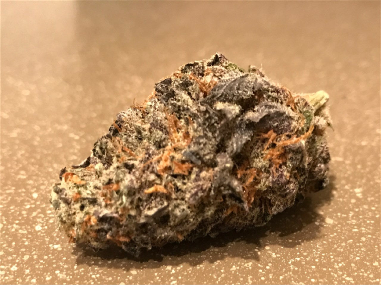 Chocolate Kush marijuana strain flower with coffee and nutty flavor and relaxed / sleepy effects - Rare Harvest indica