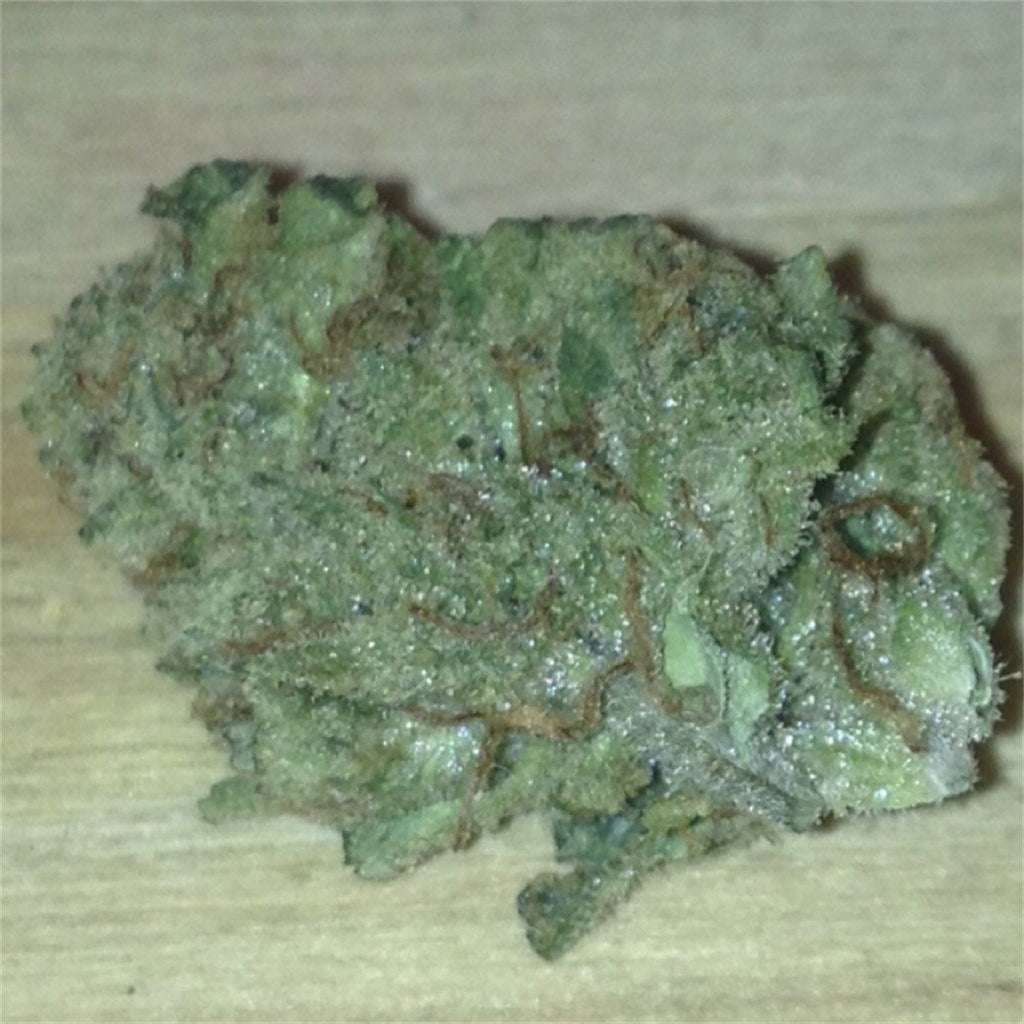 Chocolate Thai marijuana strain flower with coffee and nutty flavor and focused / creative effects - Rare Harvest sativa