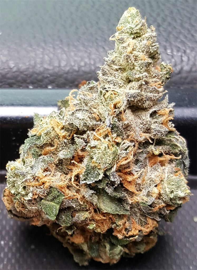 Chunky Diesel marijuana strain flower with diesel and coffee flavor and focused / uplifted effects - Rare Harvest hybrid