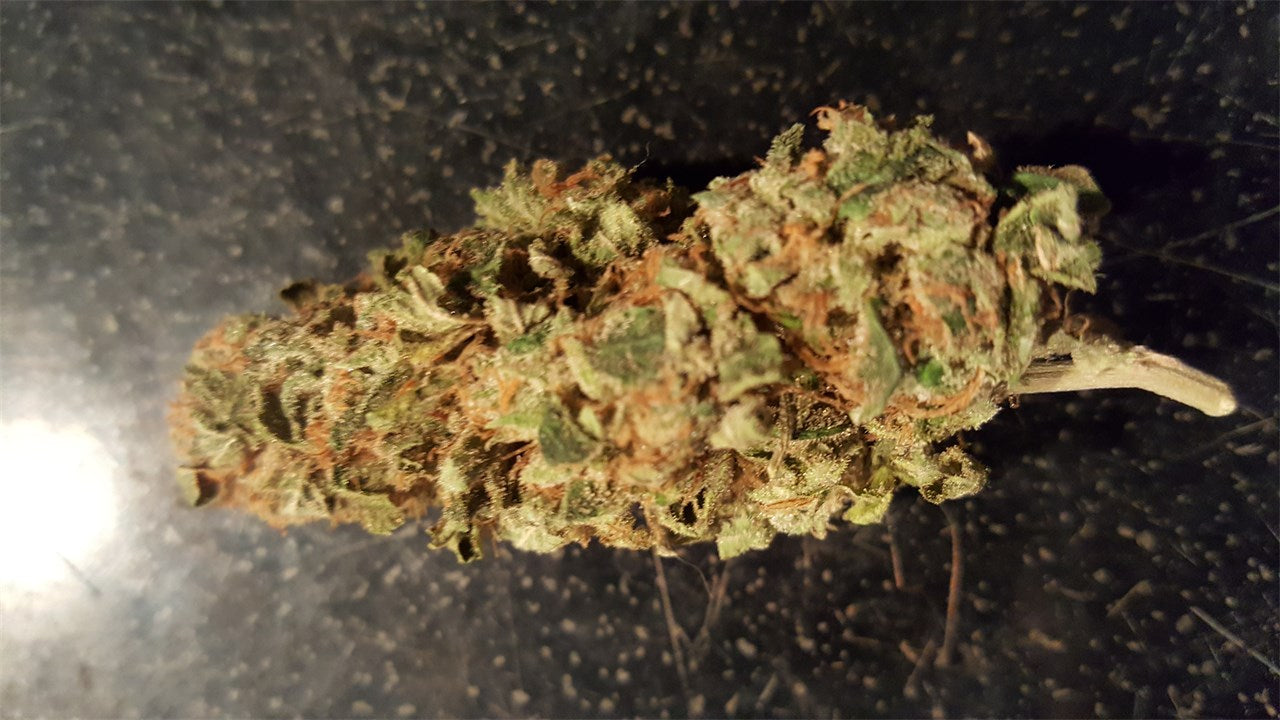 Chupacabra marijuana strain flower with vanilla and flowery flavor and happy / uplifted effects - Rare Harvest hybrid