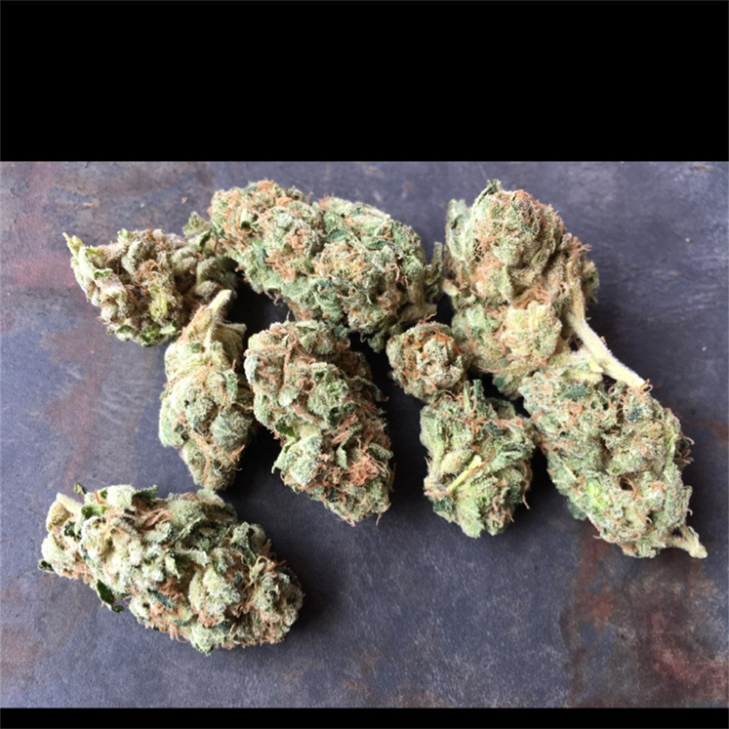 Church OG marijuana strain flower with pine and earthy flavor and sleepy / relaxed effects - Rare Harvest indica