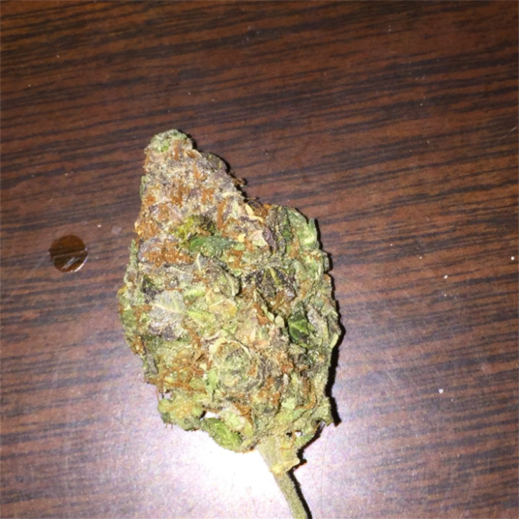 Cinderella 99 marijuana strain flower with citrus and flowery flavor and energetic / uplifted effects - Rare Harvest hybrid