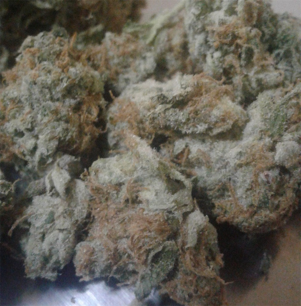 Cinderella's Dream marijuana strain flower with citrus and earthy flavor and energetic / uplifted effects - Rare Harvest hybrid