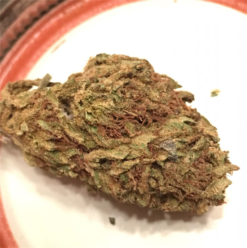 Cinex marijuana strain flower with citrus and earthy flavor and focused / energetic effects - Rare Harvest sativa