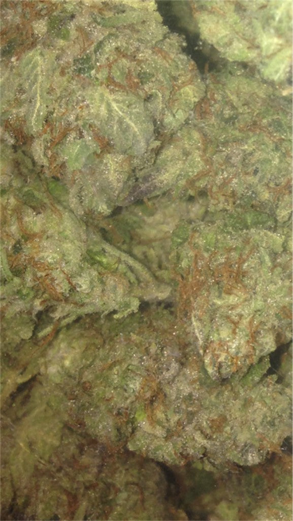 Citrix marijuana strain flower with grapefruit and citrus flavor and focused / uplifted effects - Rare Harvest hybrid