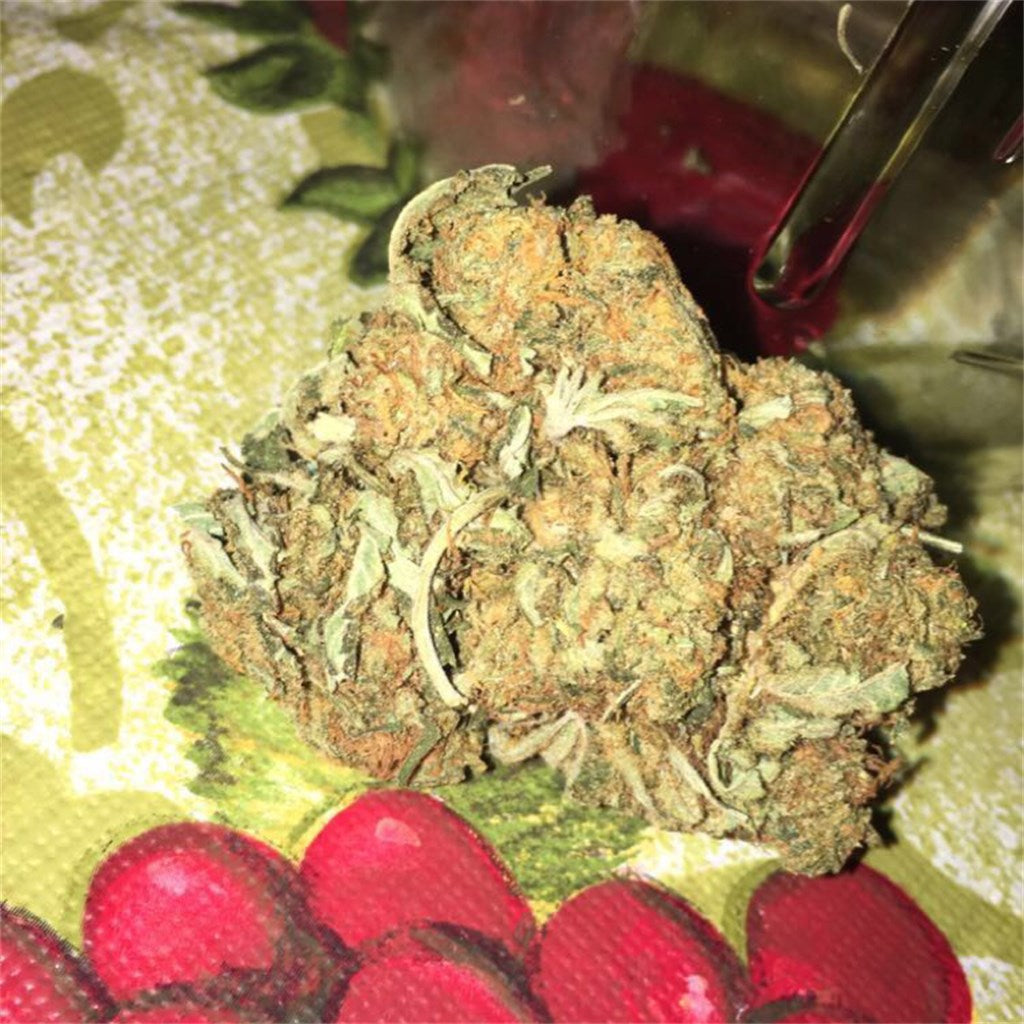 Citrus Kush marijuana strain flower with citrus and lemon flavor and giggly / happy effects - Rare Harvest hybrid