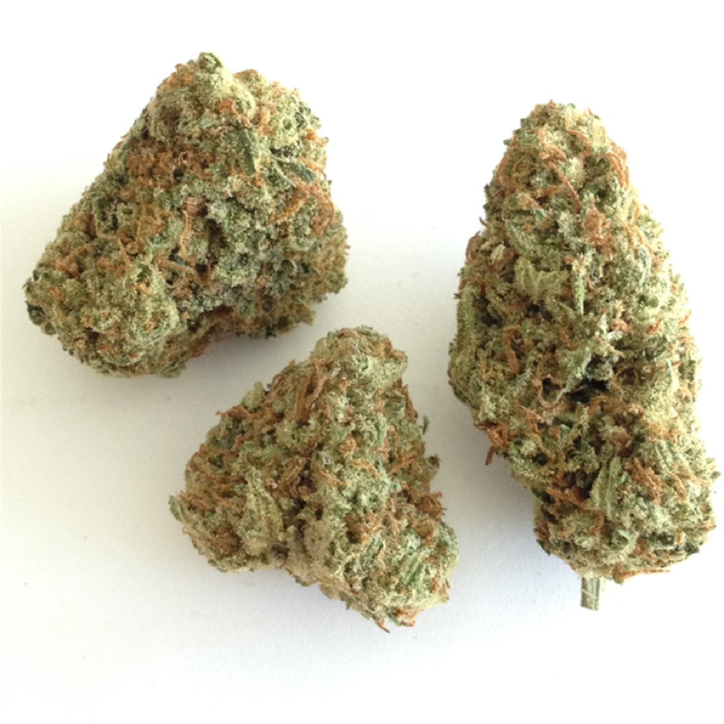 Citrus Punch marijuana strain flower with citrus and orange flavor and uplifted / focused effects - Rare Harvest sativa