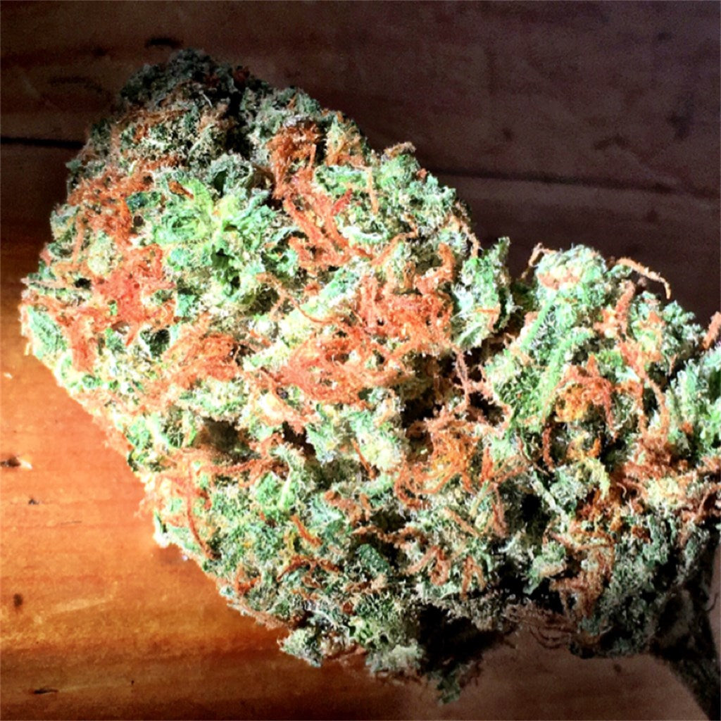 Clementine marijuana strain flower with orange and citrus flavor and focused / energetic effects - Rare Harvest sativa