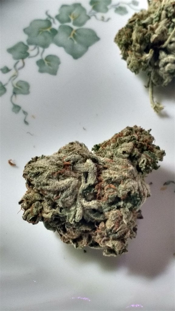 Clockwork Orange marijuana strain flower with orange and mango flavor and focused / uplifted effects - Rare Harvest hybrid
