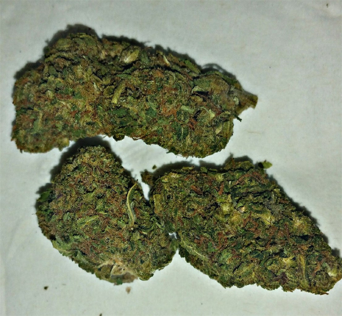 Coconut Oil marijuana strain flower with pine and earthy flavor and aroused / euphoric effects - Rare Harvest hybrid
