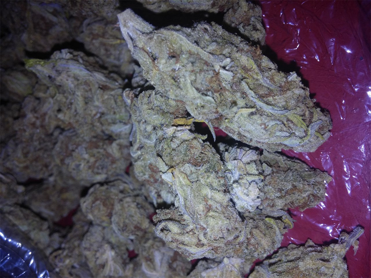 Cold Creek Kush marijuana strain flower with sage and earthy flavor and relaxed / tingly effects - Rare Harvest hybrid