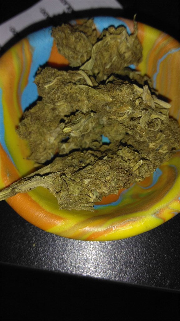 Colombian Gold marijuana strain flower with lime and skunk flavor and creative / focused effects - Rare Harvest sativa
