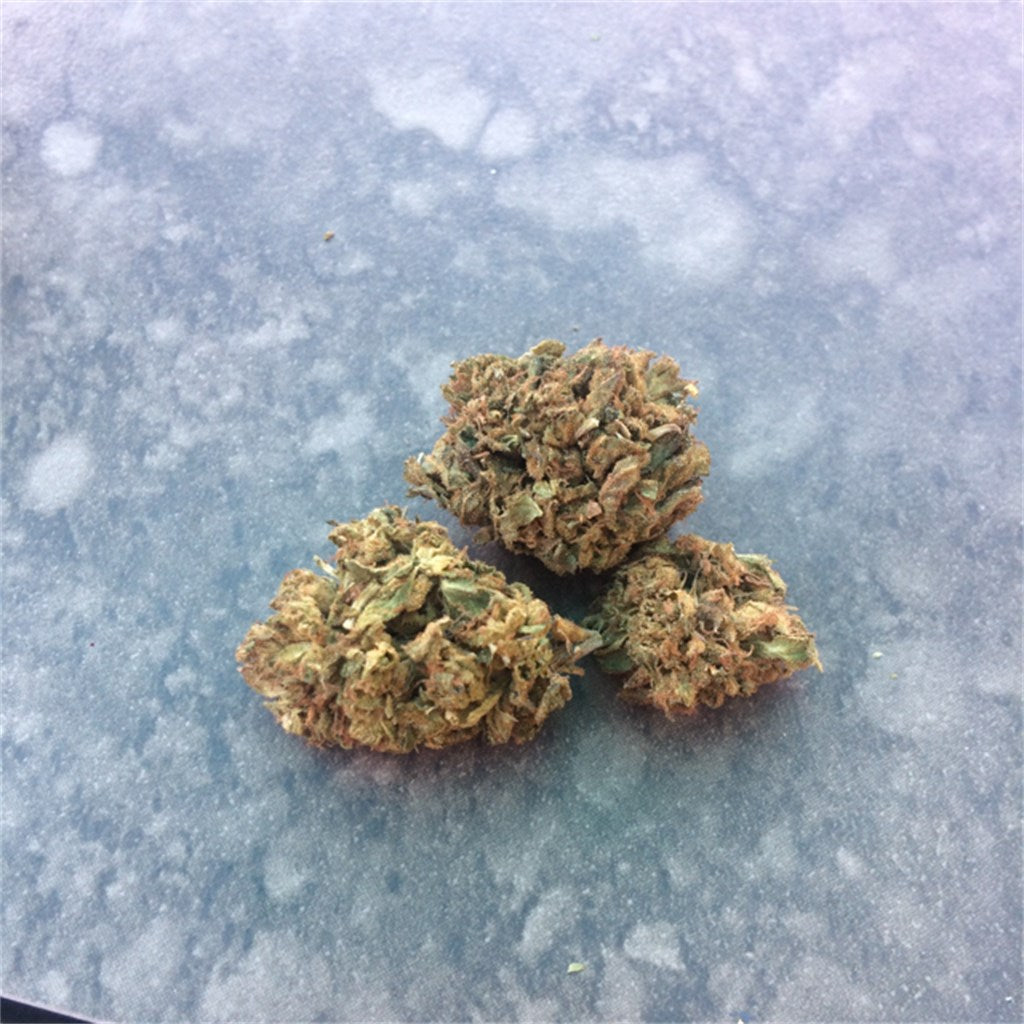 Confidential Cheese marijuana strain flower with cheese and pungent flavor and relaxed / hungry effects - Rare Harvest indica