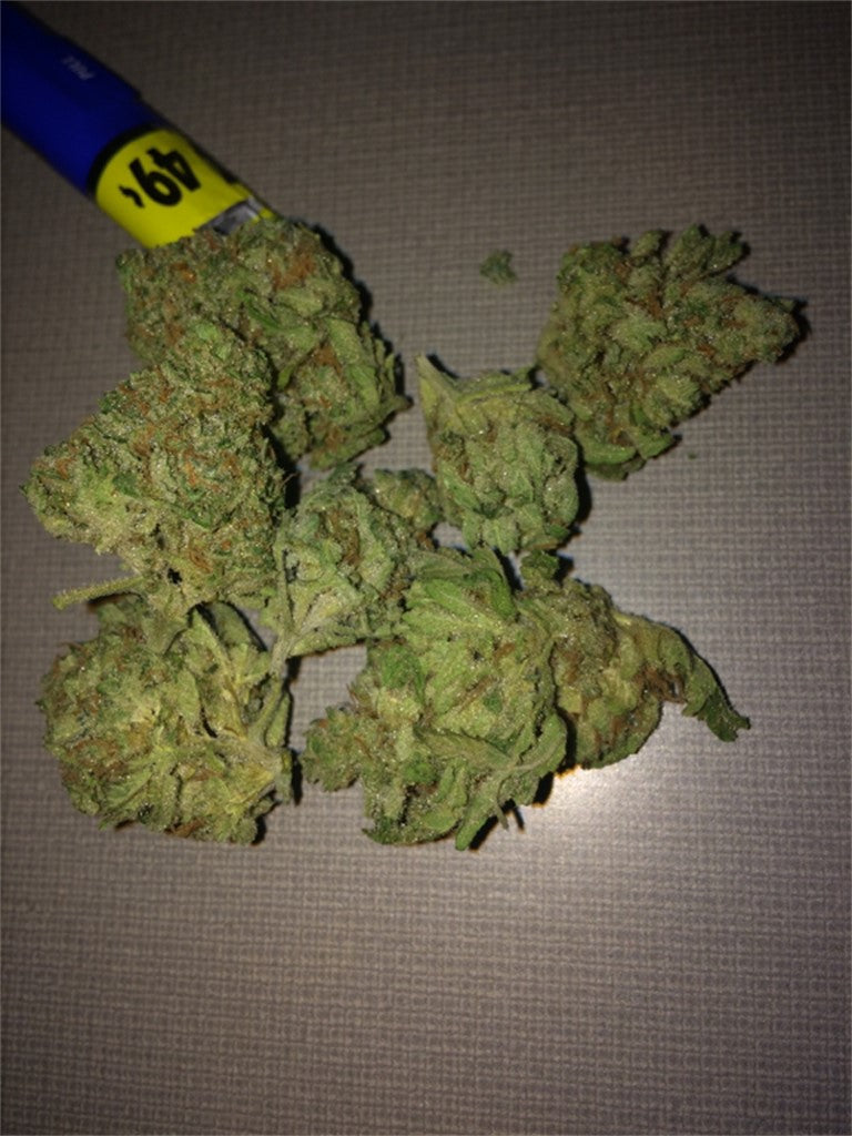 Connie Chung marijuana strain flower with tea and pine flavor and relaxed / sleepy effects - Rare Harvest hybrid