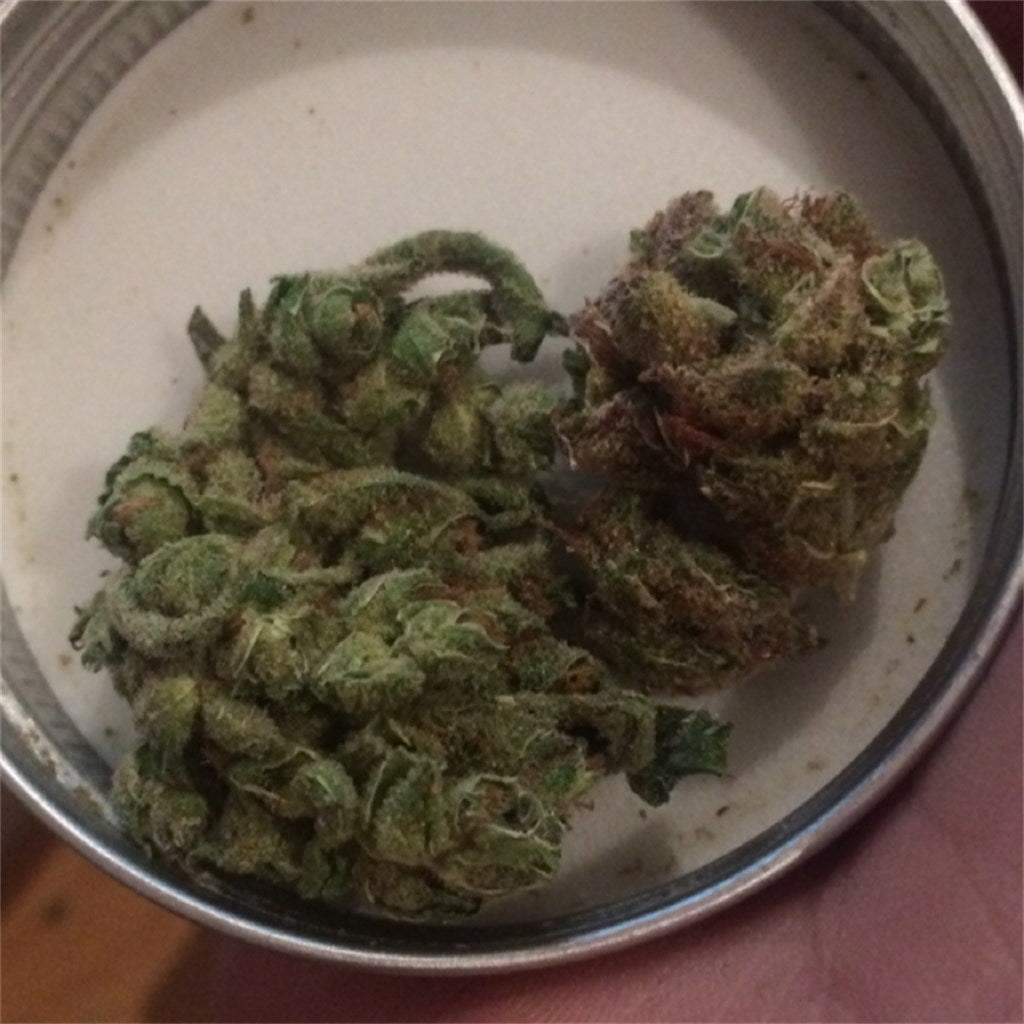 Cookie Jar marijuana strain flower with diesel and butter flavor and euphoric / relaxed effects - Rare Harvest hybrid