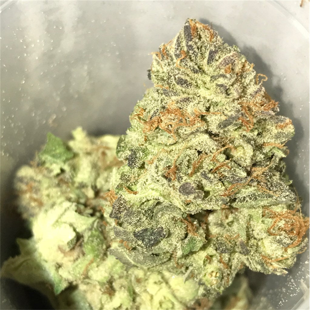 Corleone Kush marijuana strain flower with earthy and spicy/herbal flavor and sleepy / relaxed effects - Rare Harvest indica