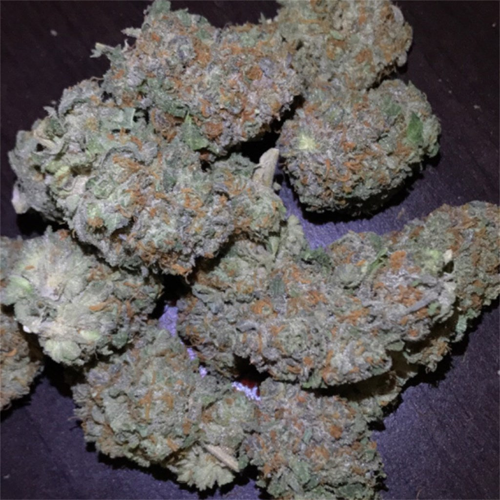 Cornbread marijuana strain flower with lemon and apricot flavor and sleepy / relaxed effects - Rare Harvest indica