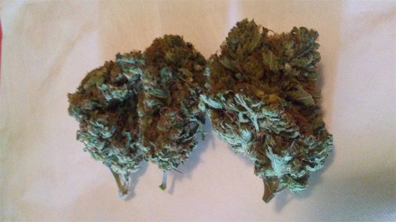 Cosmic Collision marijuana strain flower with blueberry and sweet flavor and talkative / energetic effects - Rare Harvest sativa