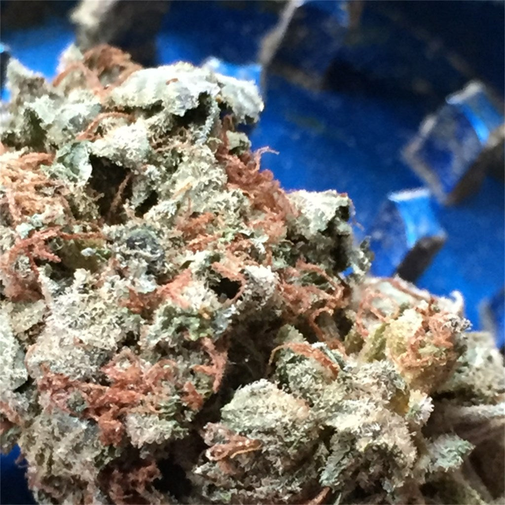Cowboy Kush marijuana strain flower with earthy and diesel flavor and happy / relaxed effects - Rare Harvest hybrid