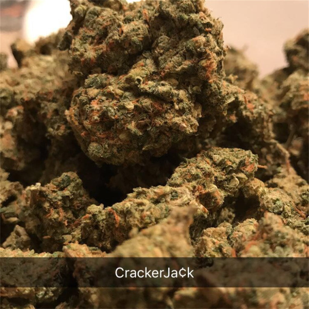 Cracker Jack marijuana strain flower with butter and woody flavor and energetic / creative effects - Rare Harvest sativa