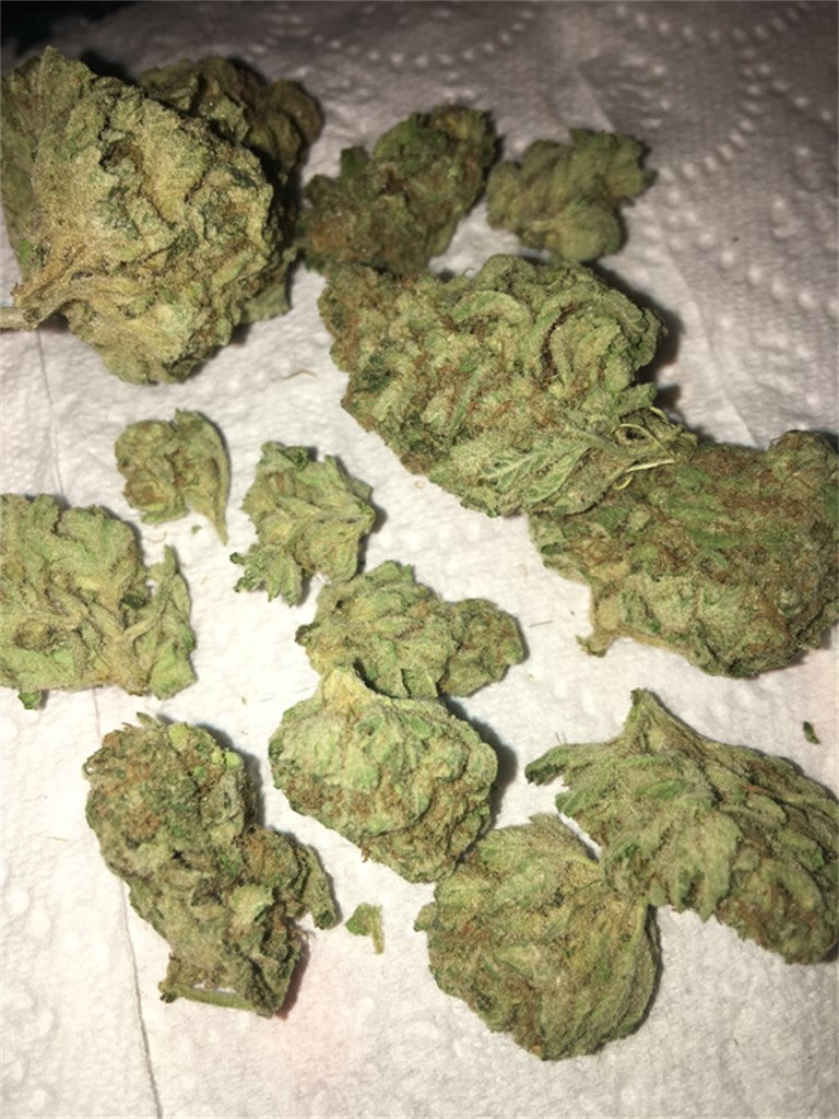 Crimea Blue marijuana strain flower with tea and blueberry flavor and sleepy / tingly effects - Rare Harvest hybrid