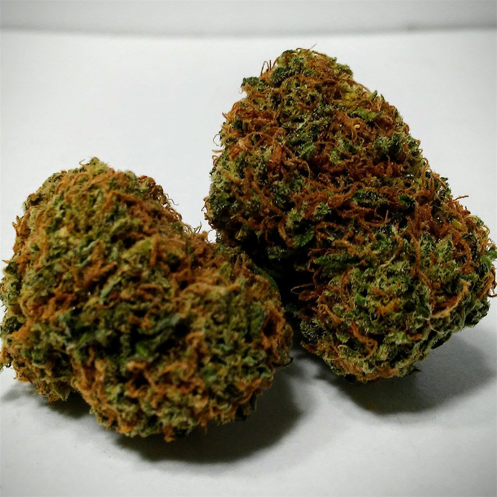 Critical Hog marijuana strain flower with tobacco and woody flavor and relaxed / happy effects - Rare Harvest indica