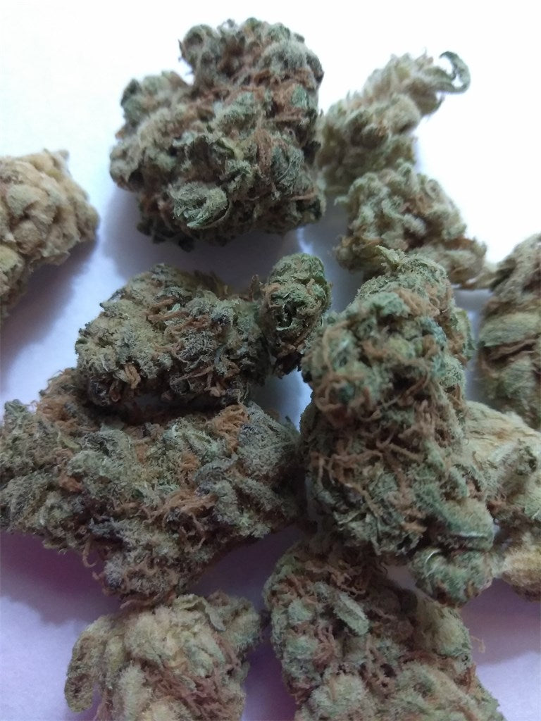 Critical Sensi Star marijuana strain flower with grapefruit and citrus flavor and sleepy / relaxed effects - Rare Harvest indica