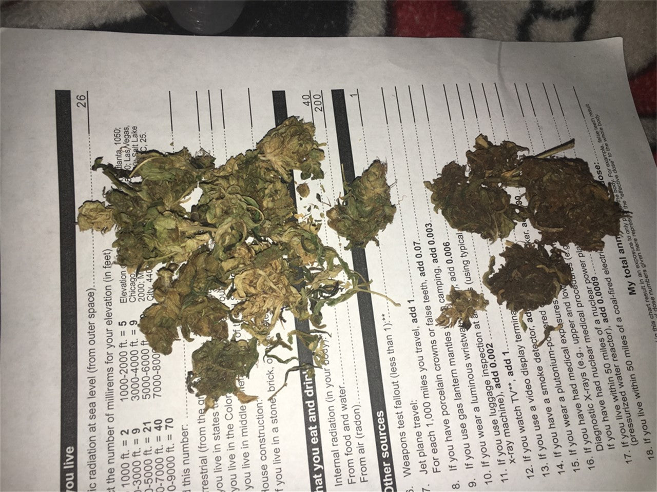 Crystal Gayle marijuana strain flower with diesel and sweet flavor and focused / creative effects - Rare Harvest hybrid