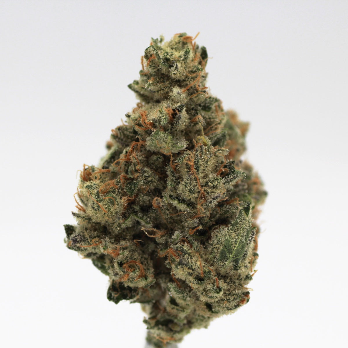Lemon Winks marijuana strain flower with ammonia flavor and creative / talkative effects - Rare Harvest hybrid