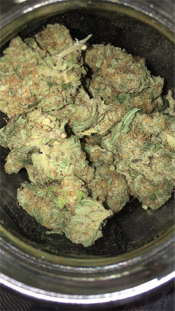 Dancehall marijuana strain flower with flowery and earthy flavor and creative / focused effects - Rare Harvest hybrid