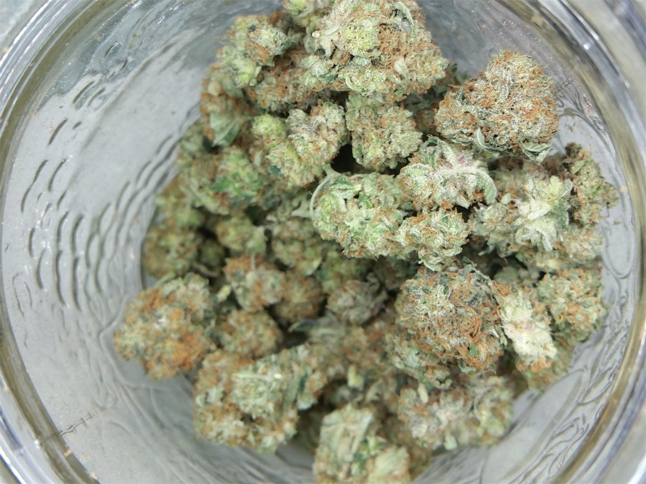 Dank Schrader marijuana strain flower with pine and blue cheese flavor and relaxed / hungry effects - Rare Harvest indica