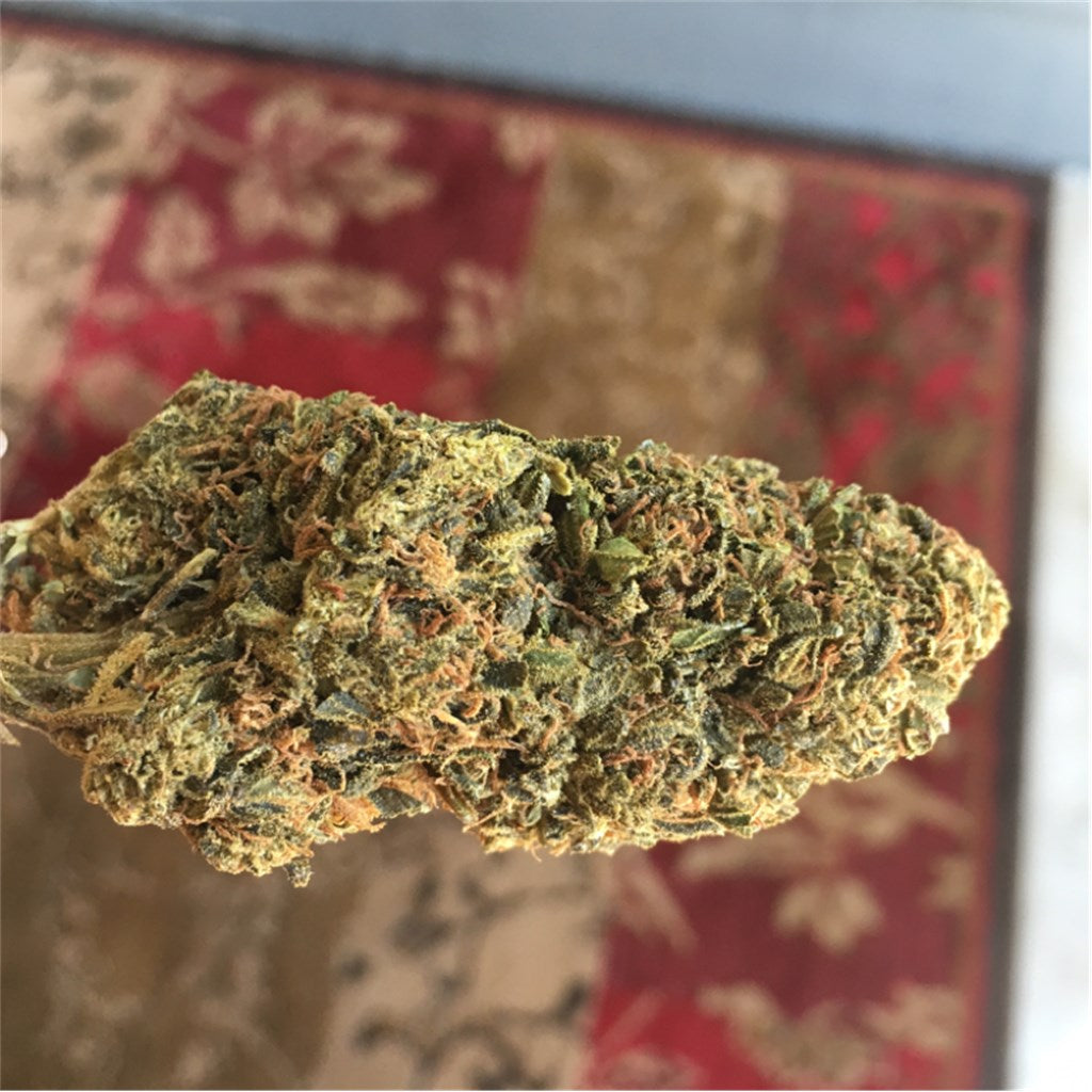 Dark Star marijuana strain flower with sage and earthy flavor and sleepy / relaxed effects - Rare Harvest indica
