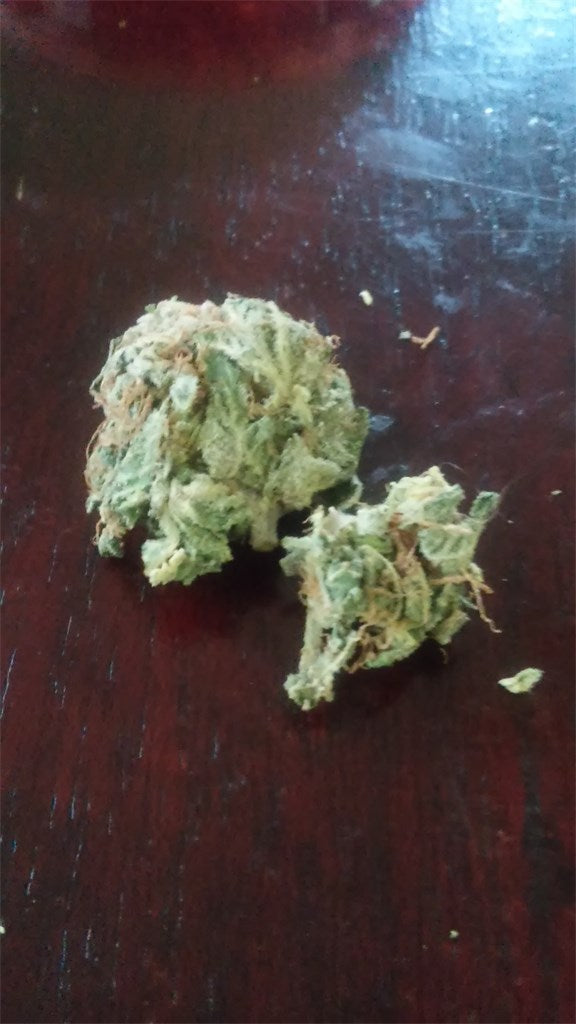 Day Tripper marijuana strain flower with butter and grapefruit flavor and focused / creative effects - Rare Harvest hybrid