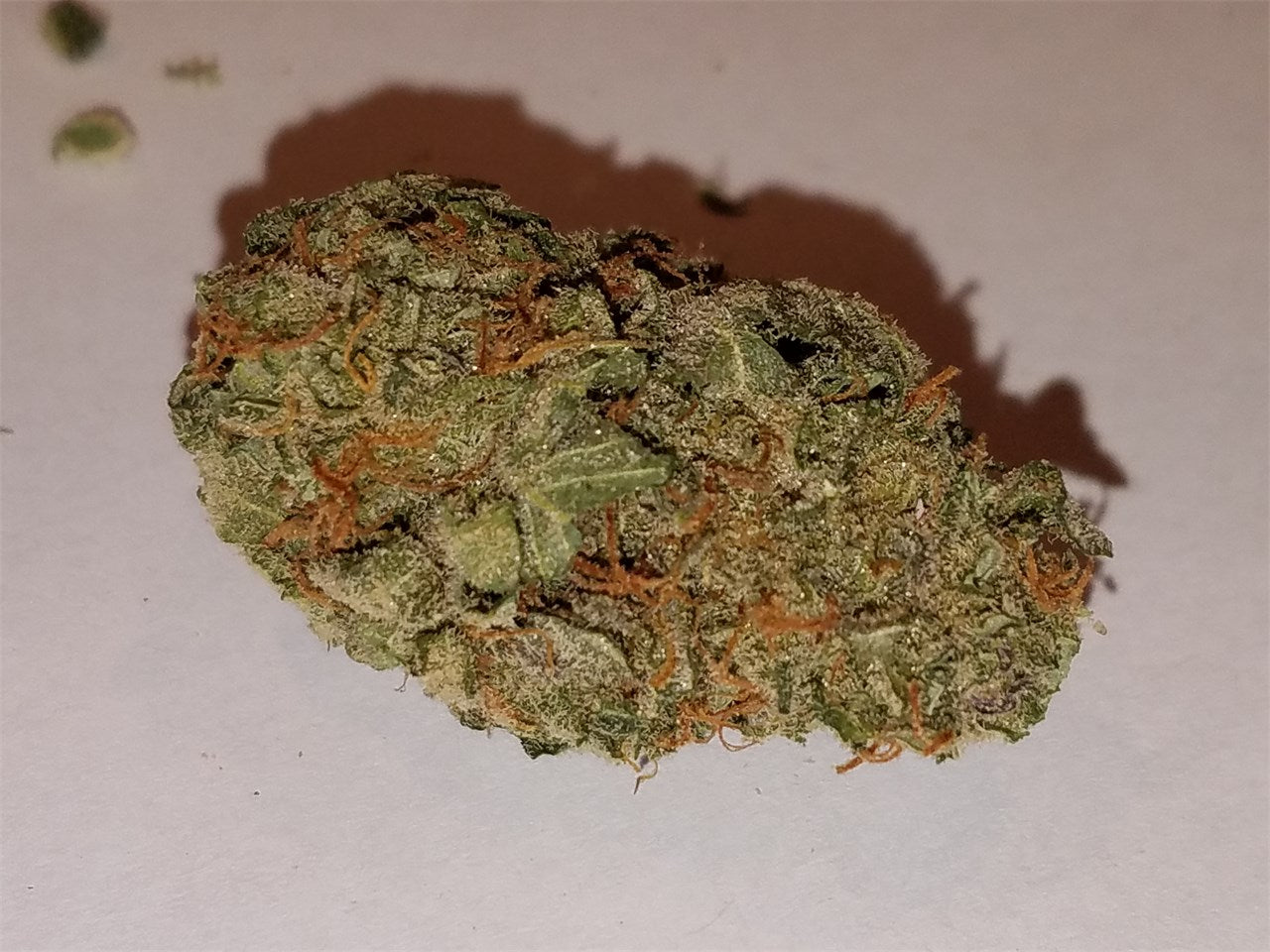Deadhead OG marijuana strain flower with skunk and pungent flavor and relaxed / euphoric effects - Rare Harvest hybrid