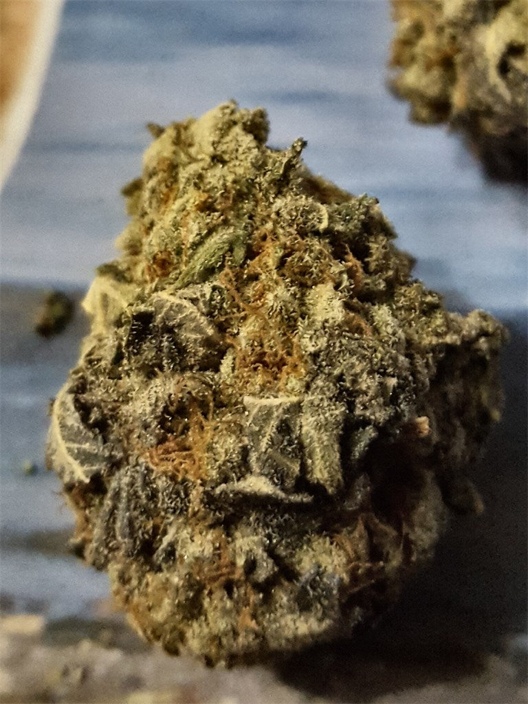 Death Bubba marijuana strain flower with pungent and earthy flavor and sleepy / relaxed effects - Rare Harvest indica