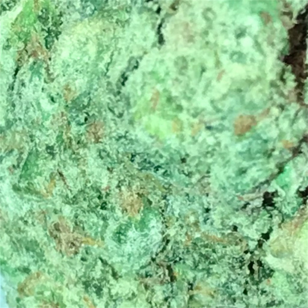 Death Star marijuana strain flower with skunk and pungent flavor and sleepy / relaxed effects - Rare Harvest indica