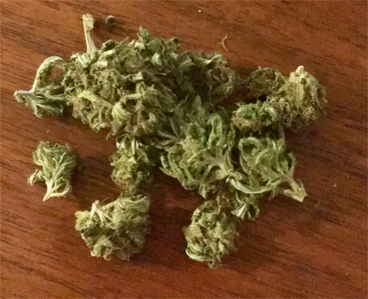 Deep Cheese marijuana strain flower with cheese and diesel flavor and uplifted / creative effects - Rare Harvest hybrid
