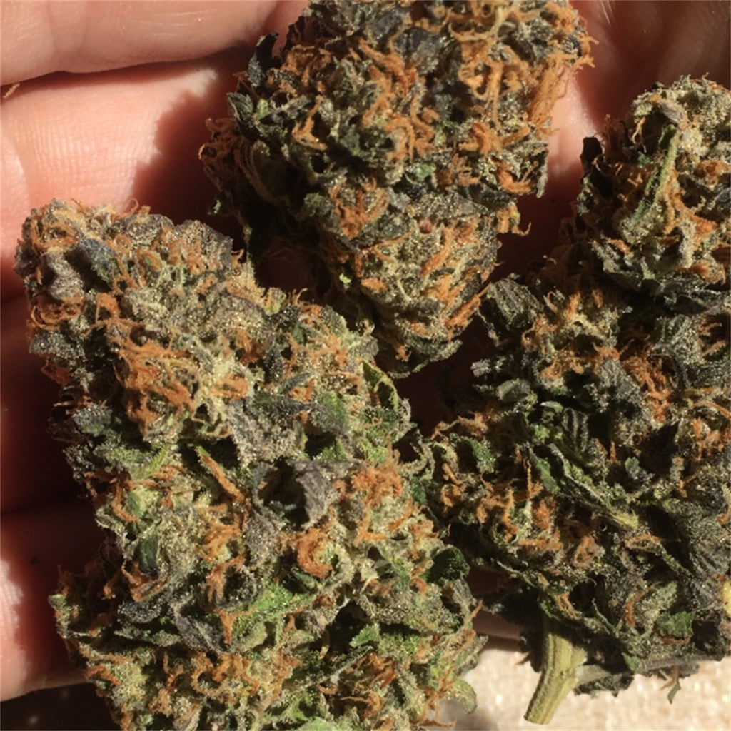 Deep Chunk marijuana strain flower with plum and lavender flavor and happy / relaxed effects - Rare Harvest indica