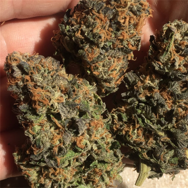 Deep Chunk Marijuana Strain | Rare Harvest